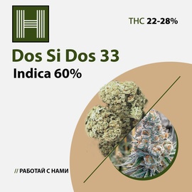 Dos-Si-Dos 33