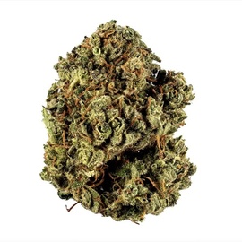Сream Mandarine