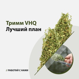 Тримм