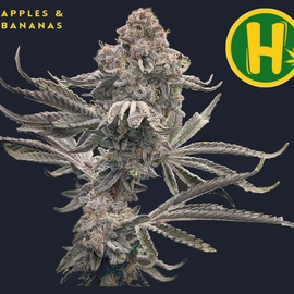 Apples & Bananas